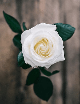 Eloise (Jeffries) Bright Obituary